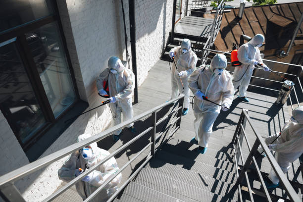 Asbestos and Lead Testing During Mold Inspection in Fort Calhoun, NE