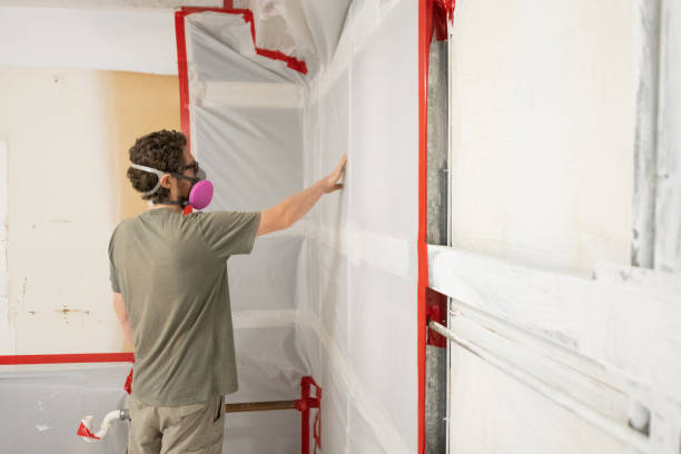 Best Black Mold Removal  in Fort Calhoun, NE