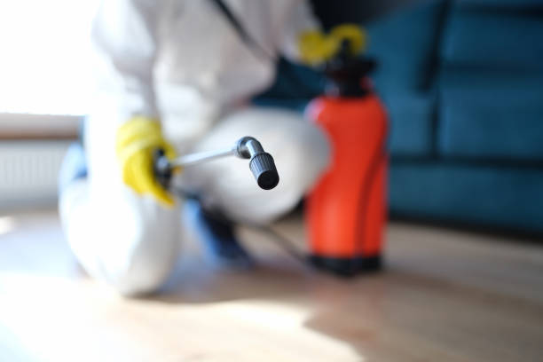 Trusted Fort Calhoun, NE Mold Removal Experts